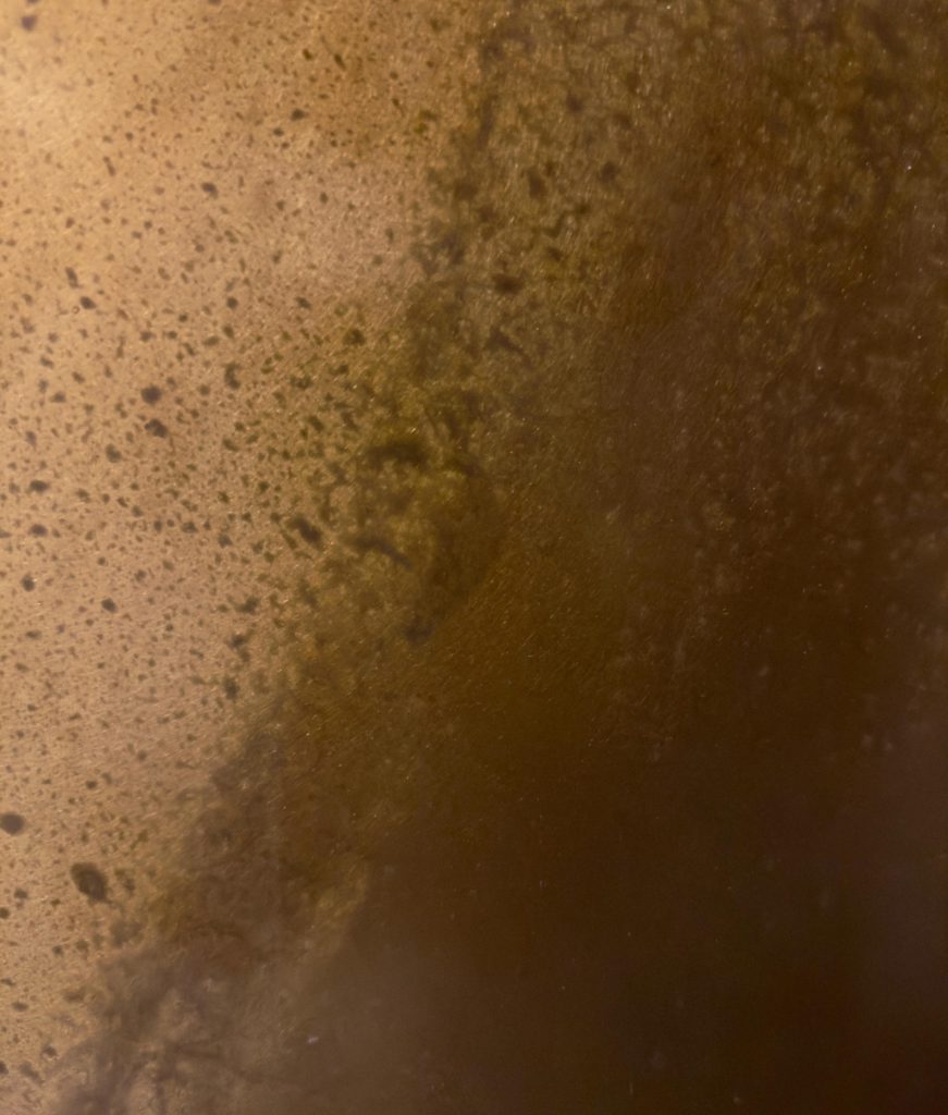 Superficie in alluminio trattata con finitura ottone bronzato, caratterizzata da tonalità calde e una resa uniforme e sofisticata. Una lavorazione che unisce leggerezza del materiale ed estetica preziosa, ideale per arredi su misura, pannellature e dettagli architettonici dal carattere contemporaneo.