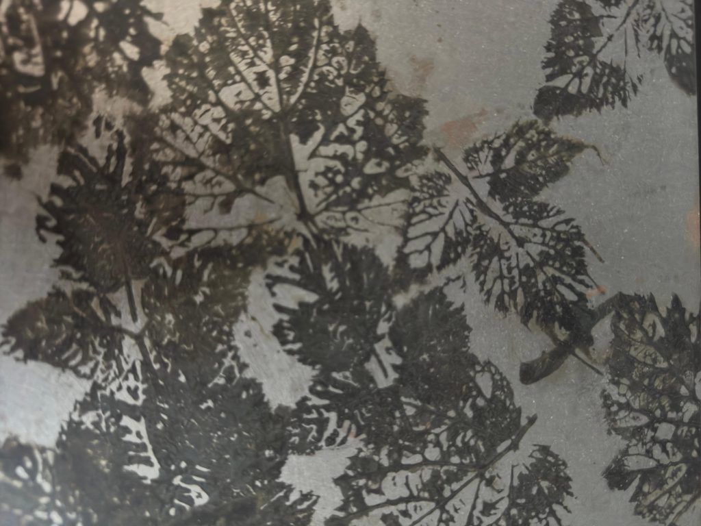 Superficie in ferro trattata con finitura effetto ematite, caratterizzata da riflessi scuri e una texture minerale sofisticata. Una lavorazione dal forte impatto estetico, ideale per arredi su misura, pannelli decorativi e progetti architettonici che richiedono profondità cromatica e un look moderno e materico.